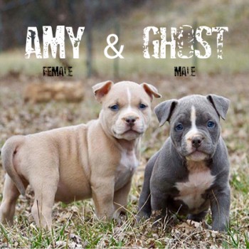 Amy & Ghost